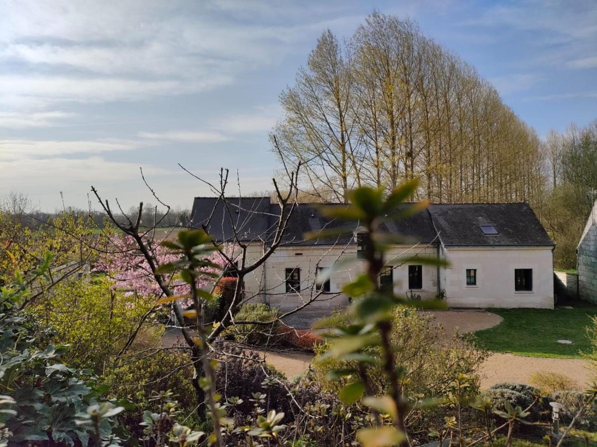 Les Logis D Usse Villa Rigny-Ussé Buitenkant foto