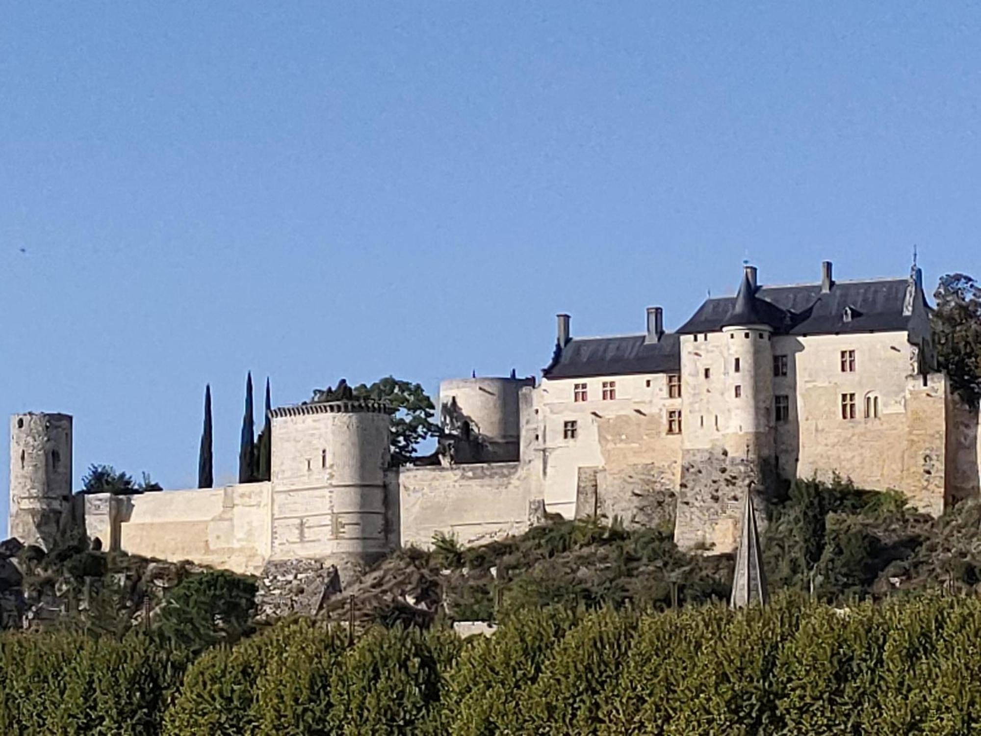 Les Logis D Usse Villa Rigny-Ussé Buitenkant foto