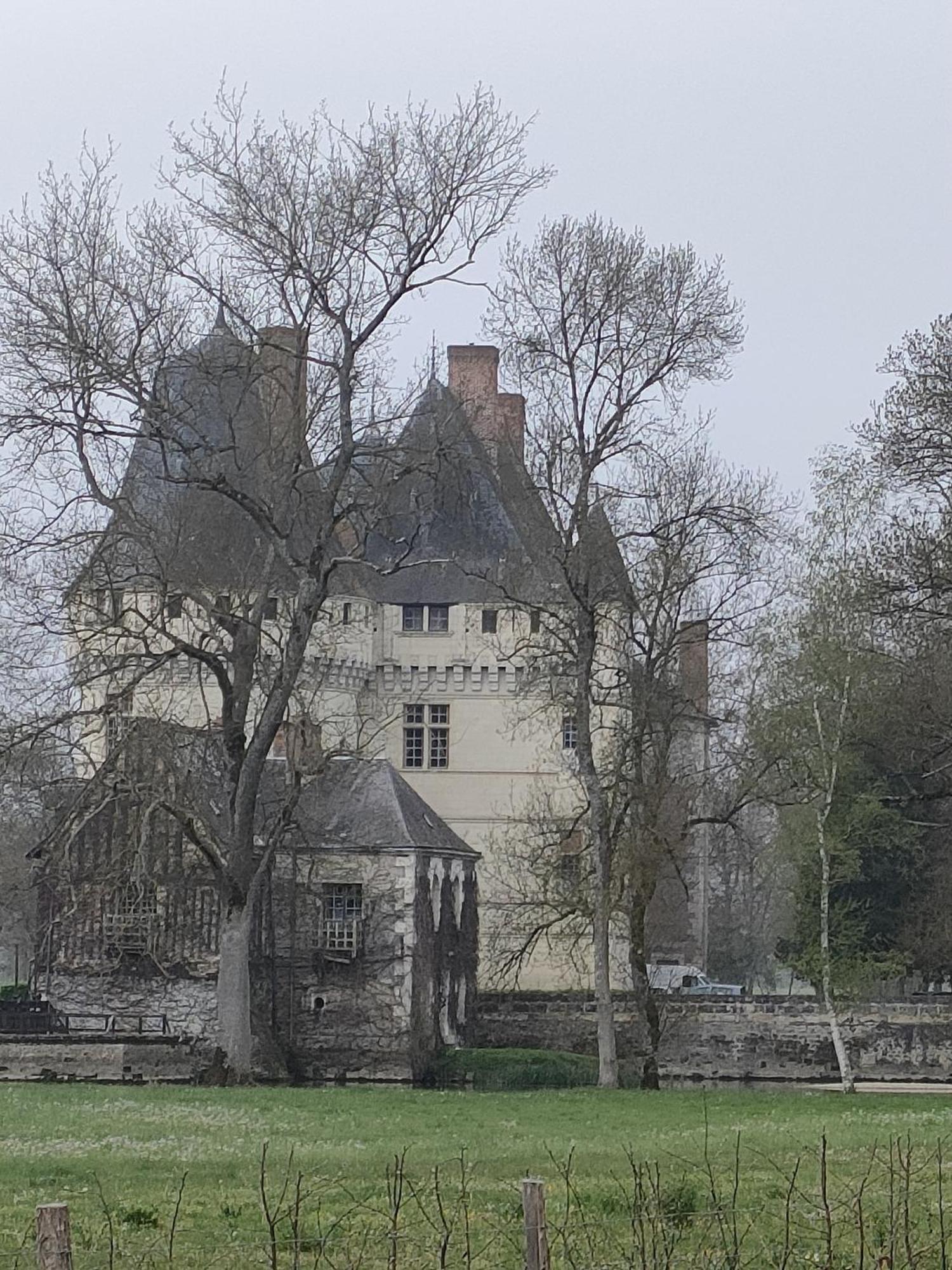 Les Logis D Usse Villa Rigny-Ussé Buitenkant foto